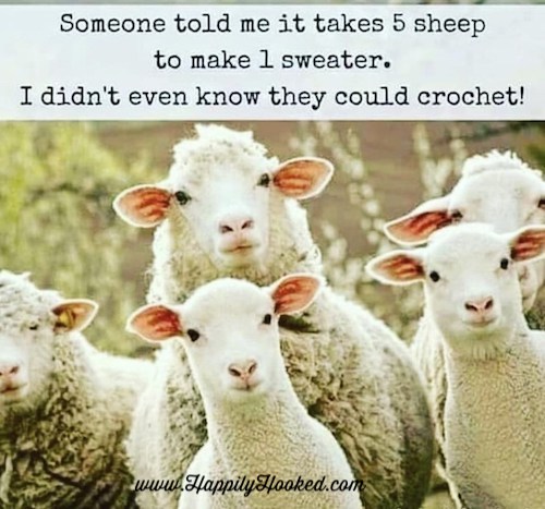sheep crochet meme