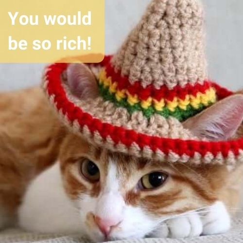 Crochet Cat Sombrero