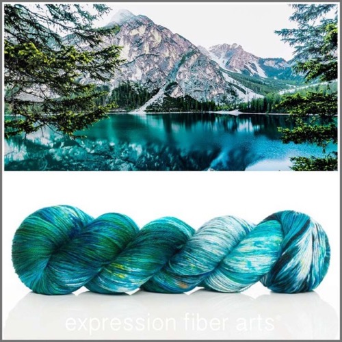 Expression Fiber Arts Fingering Yarn: Water's Edge Oasis colorway