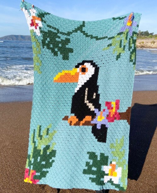 Tropical Toucan Blanket by Claire Goodale